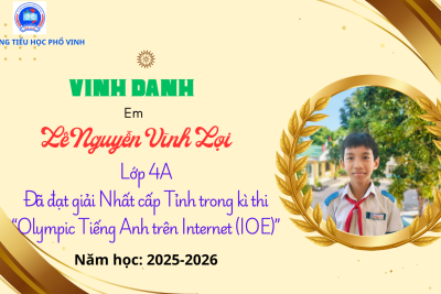 VINH DANH HỌC SINH ĐẠT GIẢI IOE CẤP TỈNH