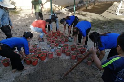 KẾ HOẠCH TRỒNG VÀ CHĂM SÓC RAU, HOA CHO HỌC SINH