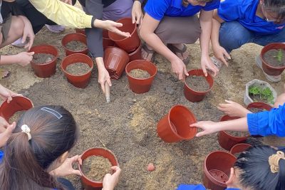 Hoạt động trồng hoa chào mừng Xuân Bính Ngọ 2026